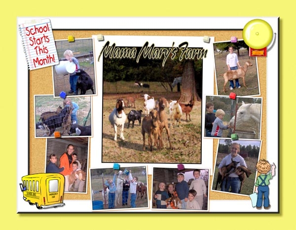 0806thumb1farm.jpg